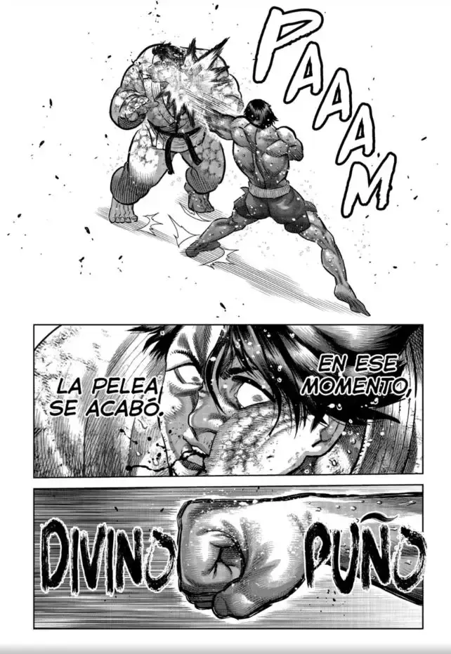 Capitulo 262 page 8