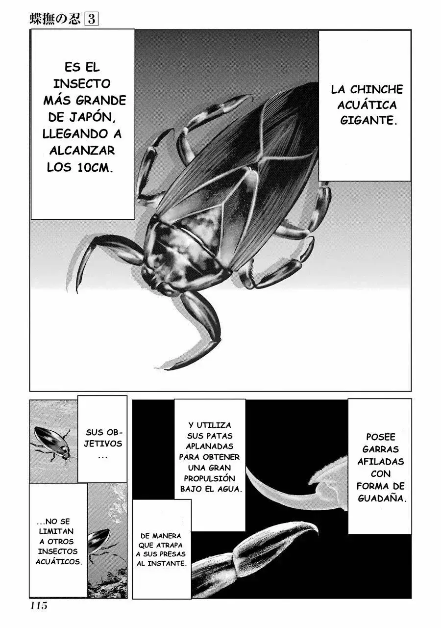 Capitulo 13 page 3