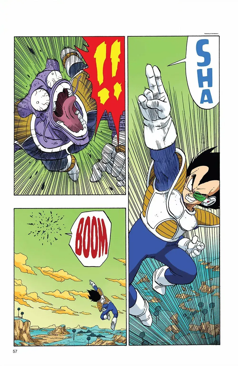 Capitulo 249 page 11