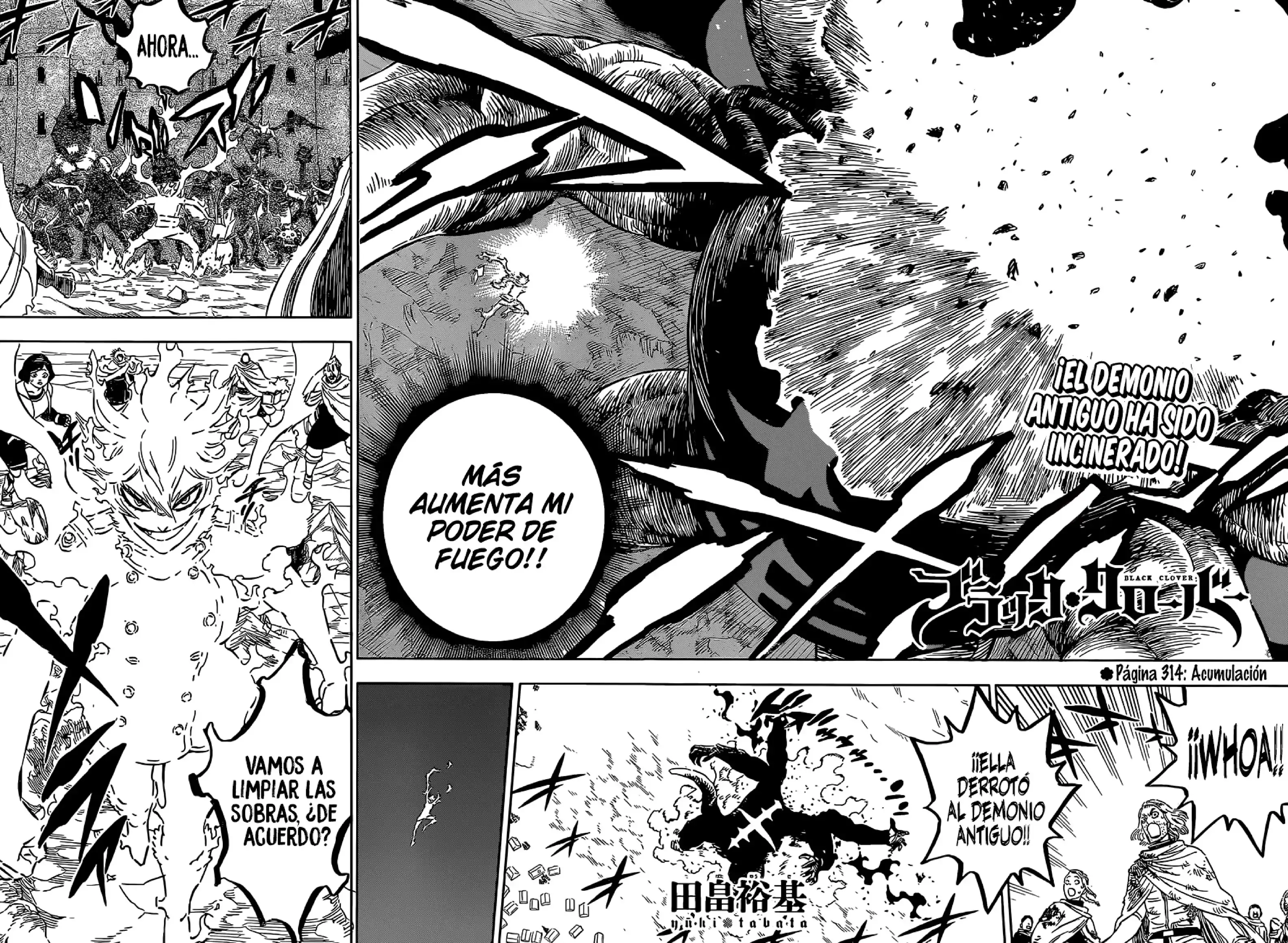Capitulo 314 page 3