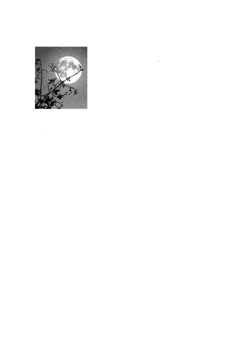 Capitulo 3 page 24