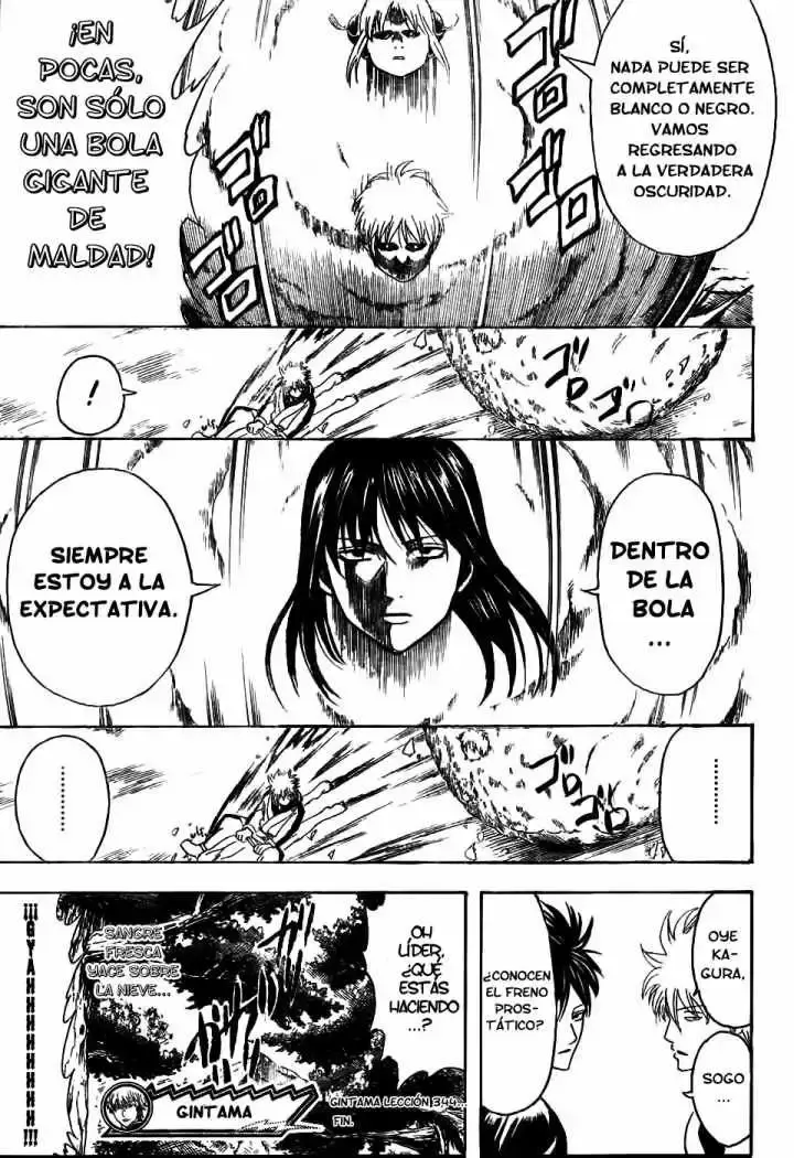Capitulo 344 page 19