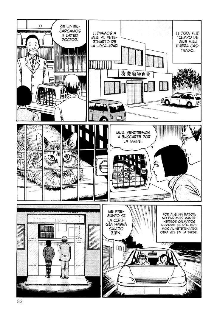 Capitulo 8 page 7