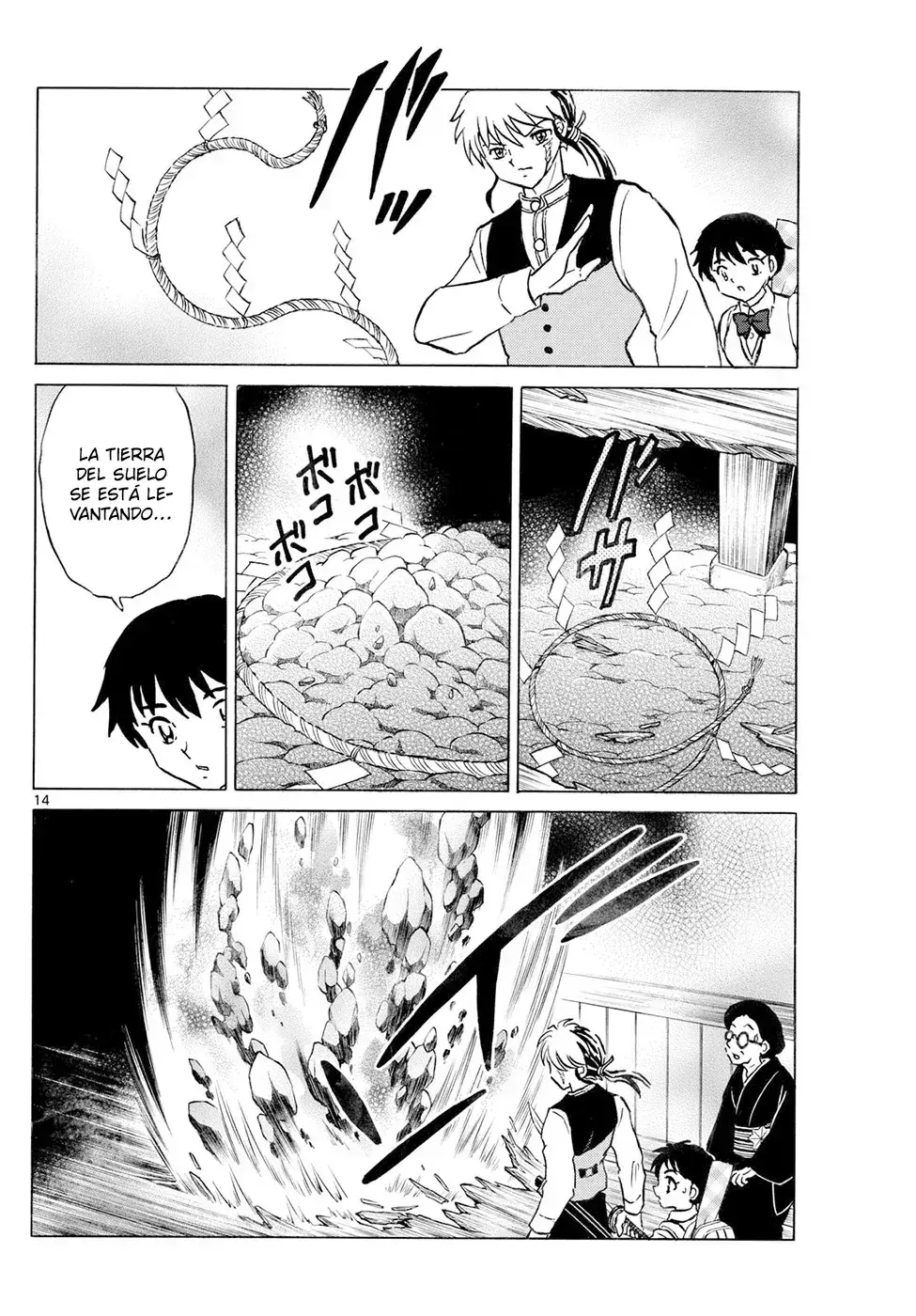 Capitulo 294 page 14