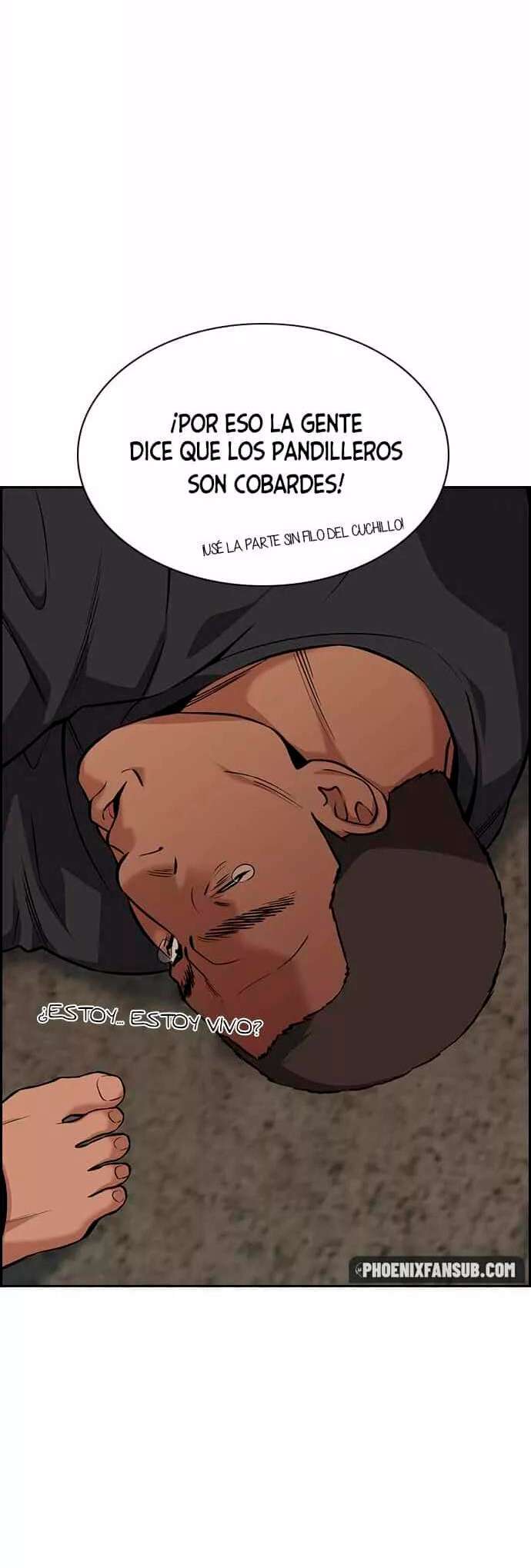 Capitulo 96 page 42