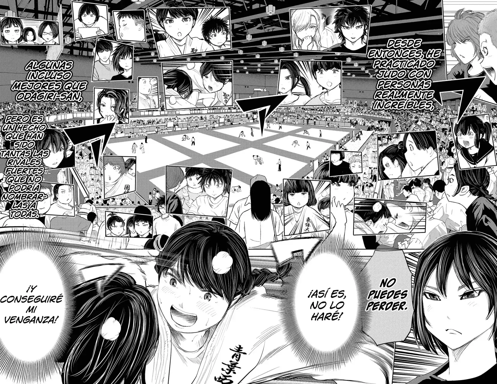 Capitulo 253 page 13