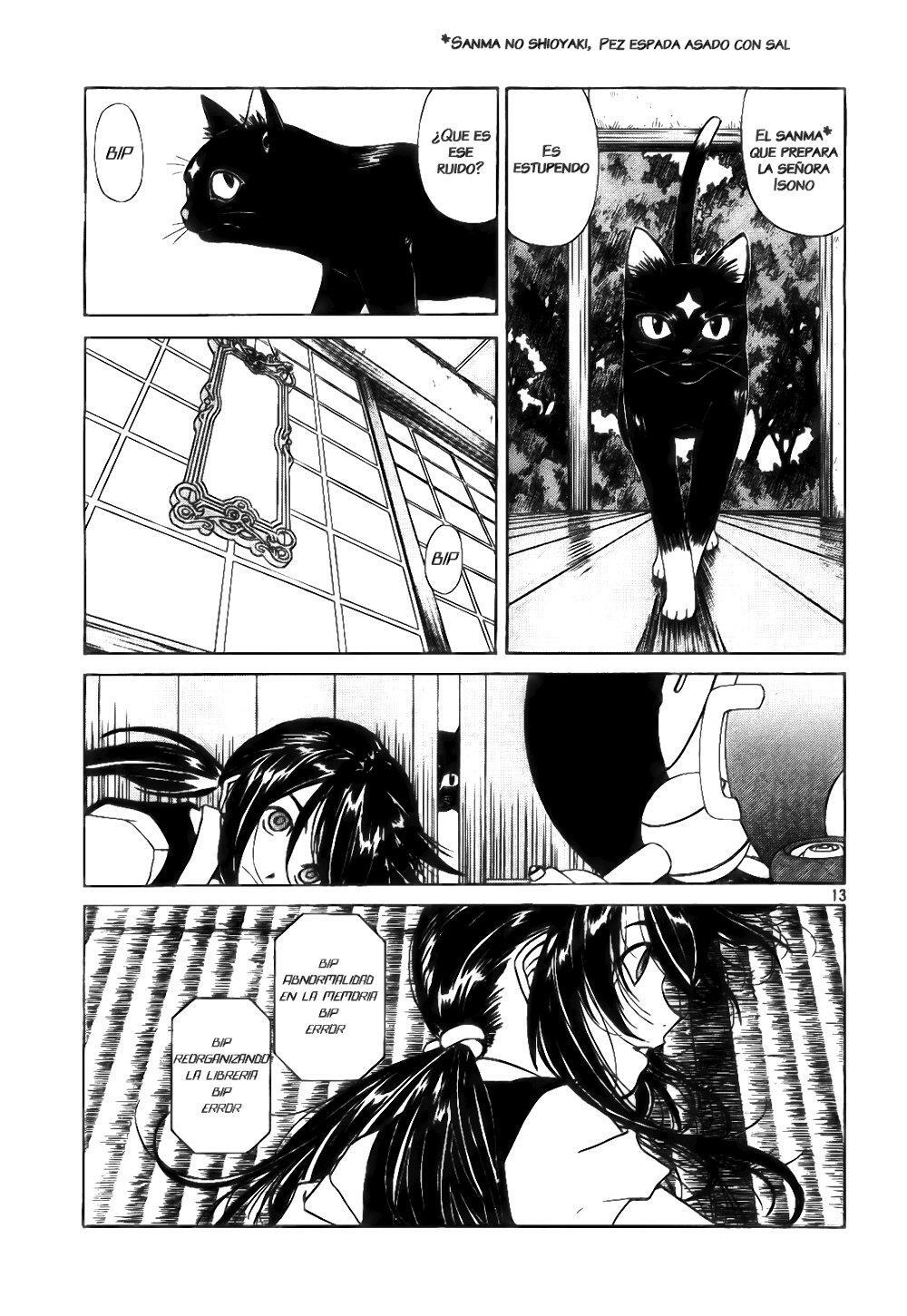 Capitulo 228 page 13