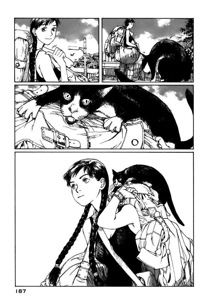Capitulo 5 page 37