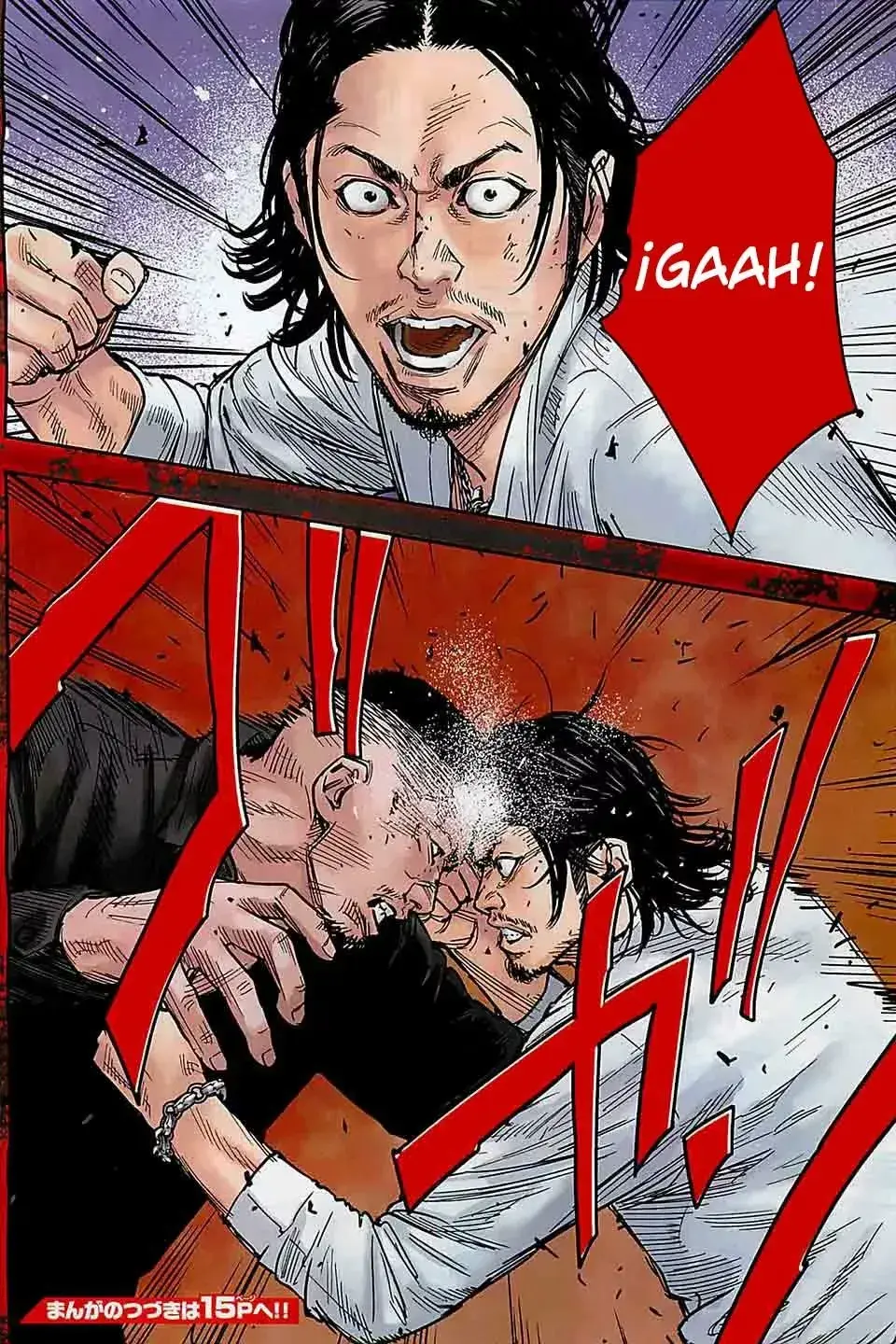Capitulo 17 page 14