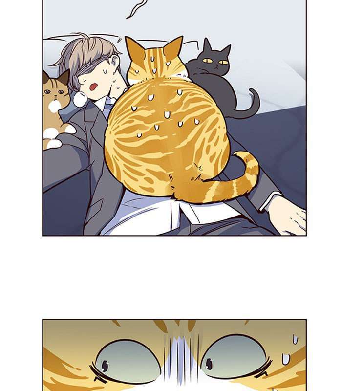 Capitulo 8 page 45