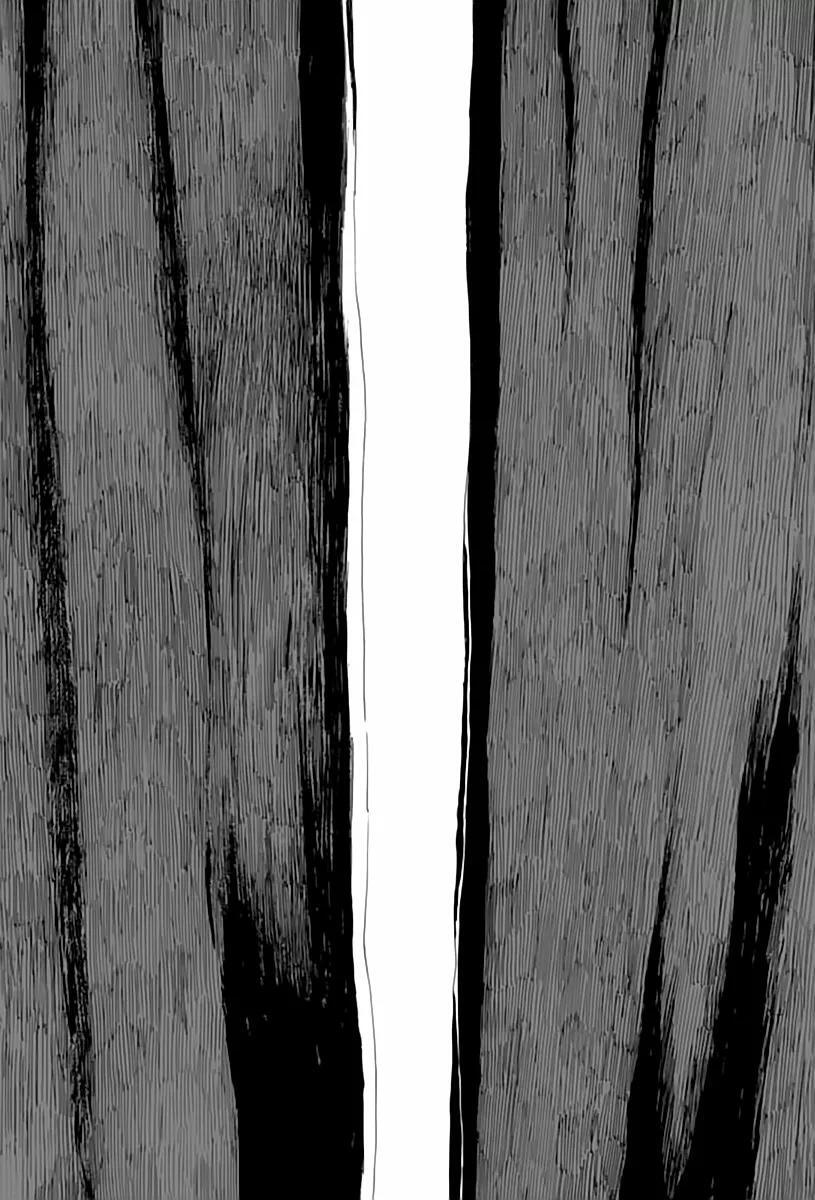 Capitulo 109 page 11