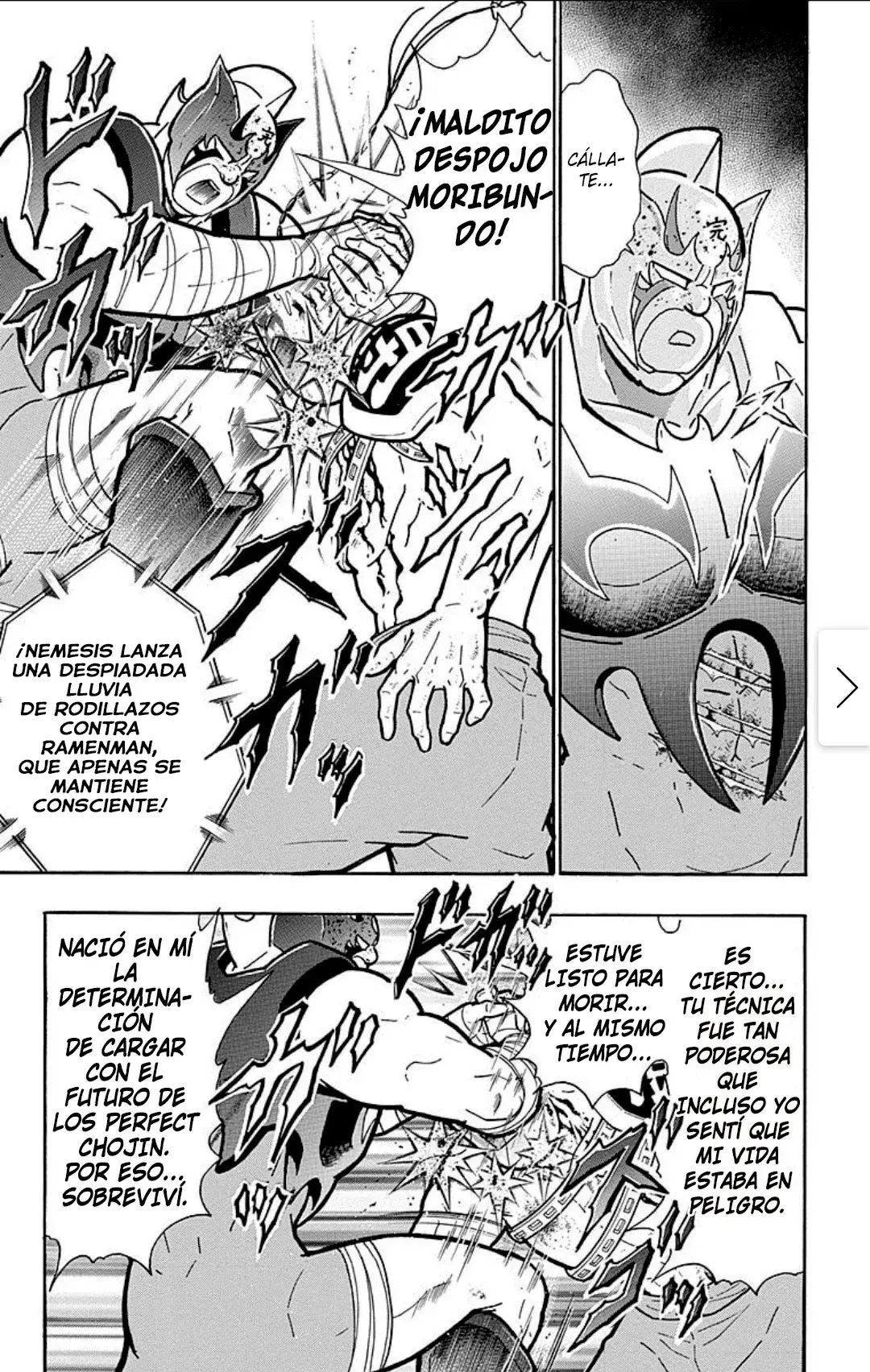 Capitulo 532 page 13