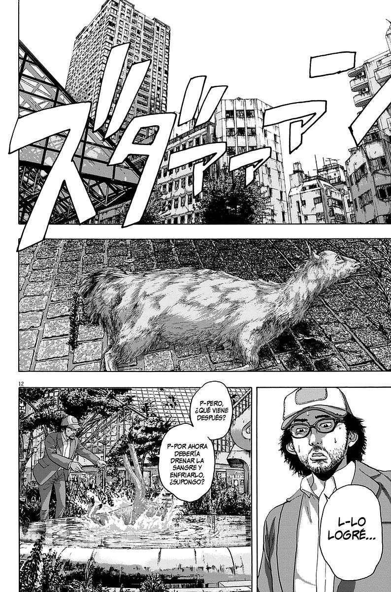 Capitulo 264 page 13