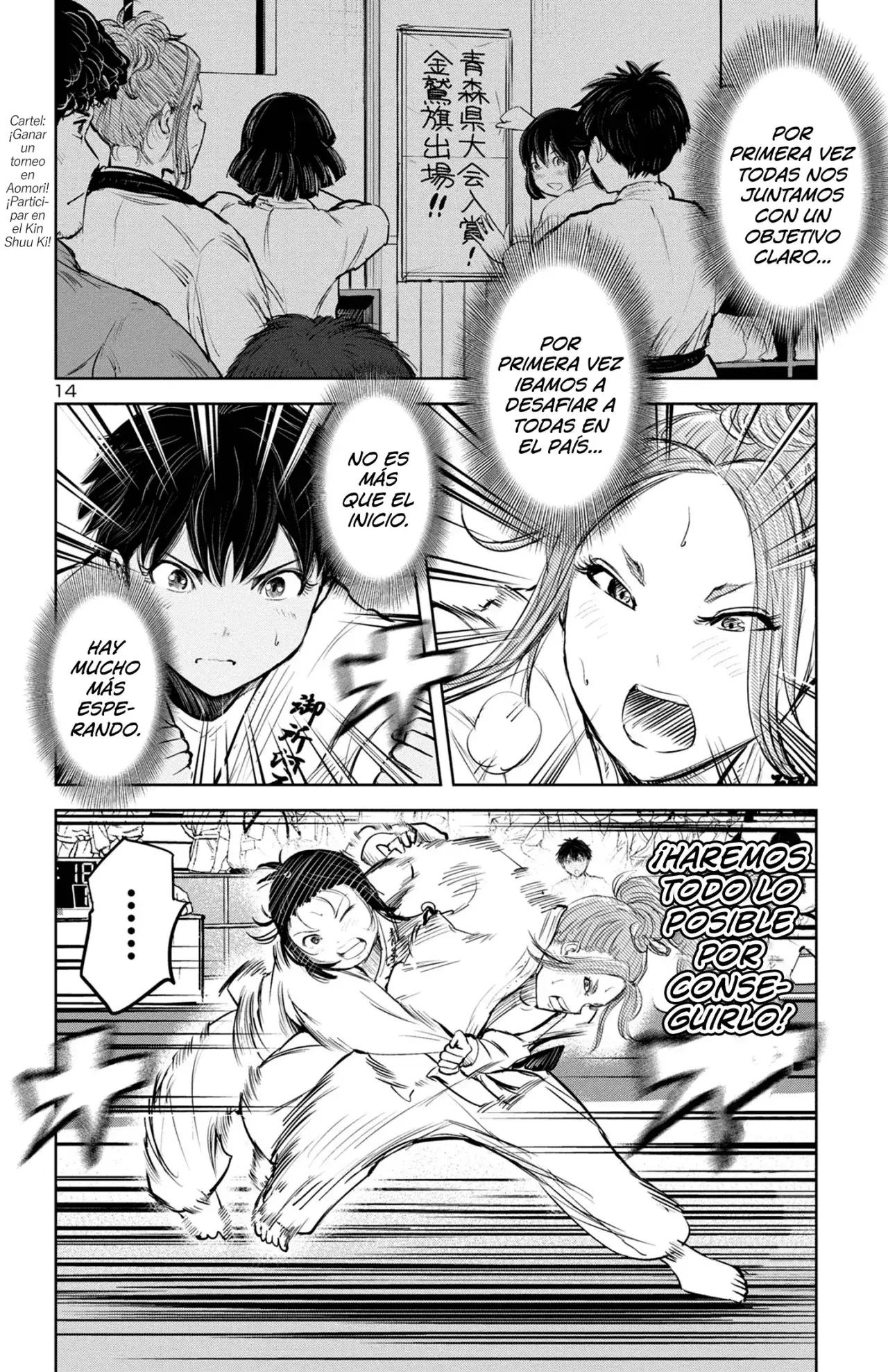 Capitulo 236 page 13