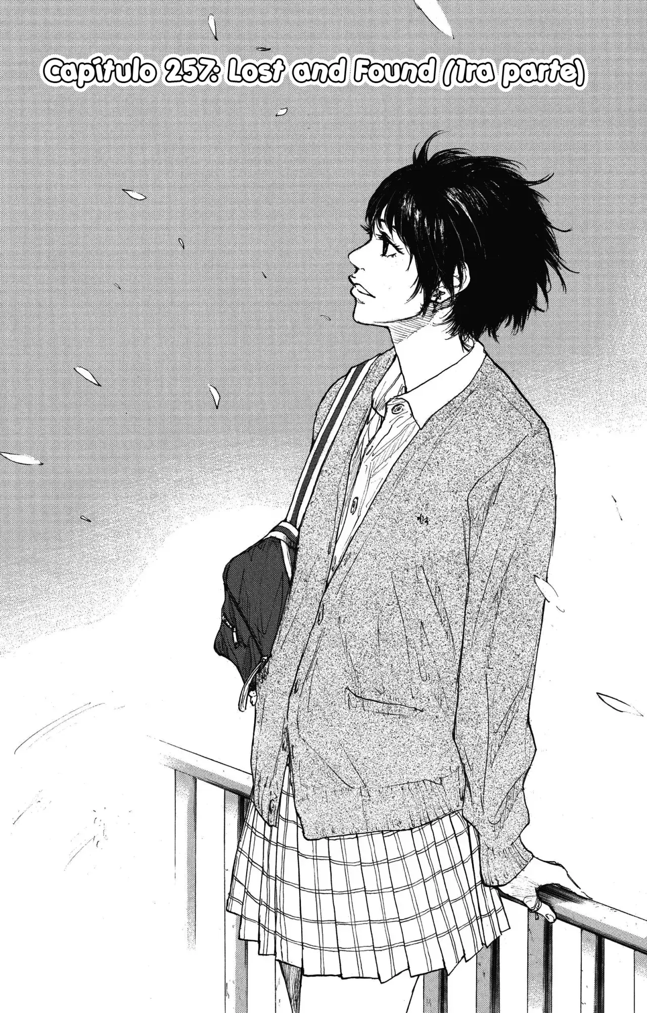 Capitulo 257 page 2