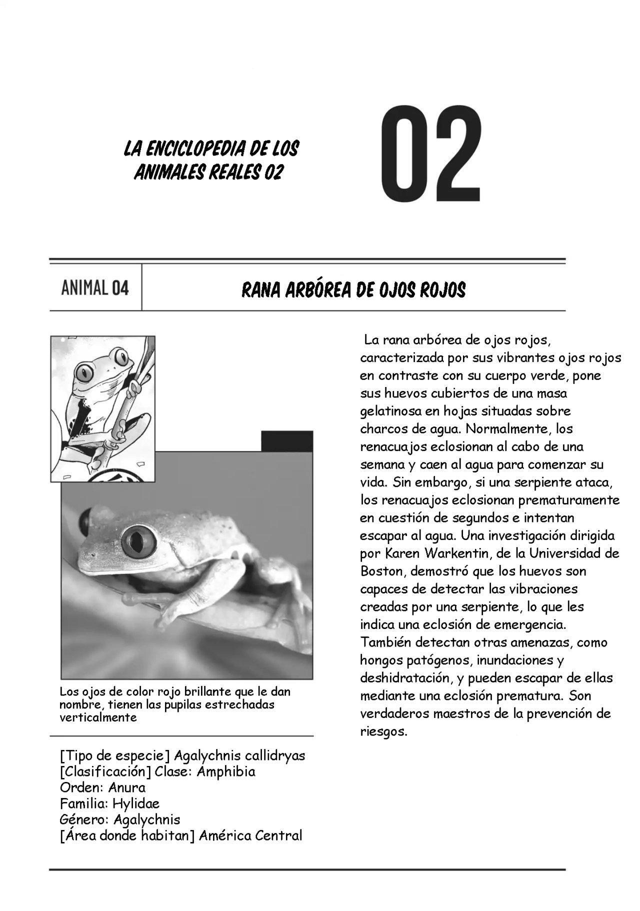 Capitulo 2 page 17