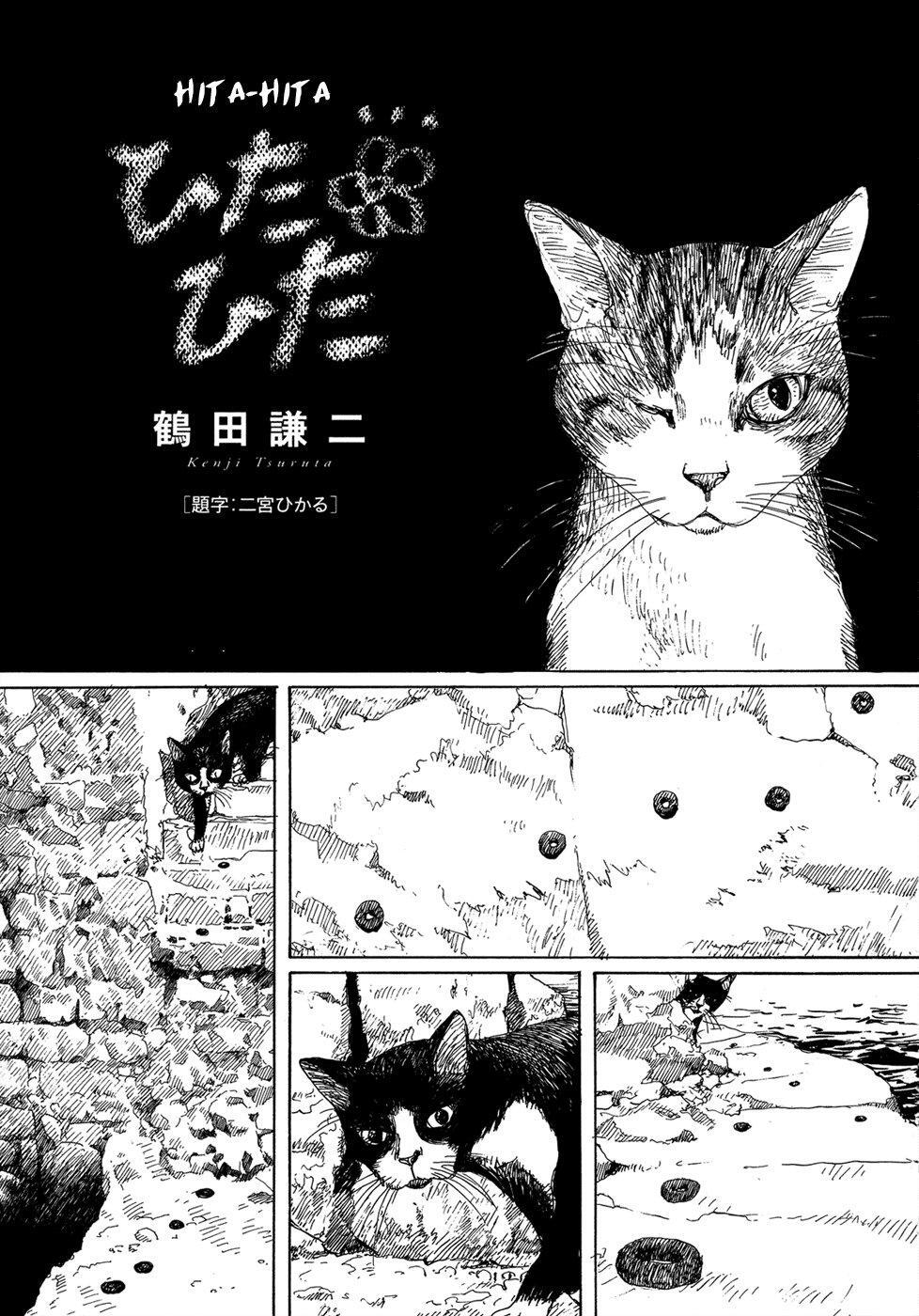 Capitulo 11 page 2