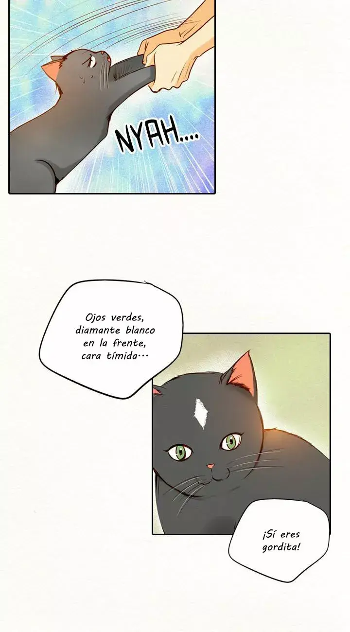 Capitulo 51 page 33