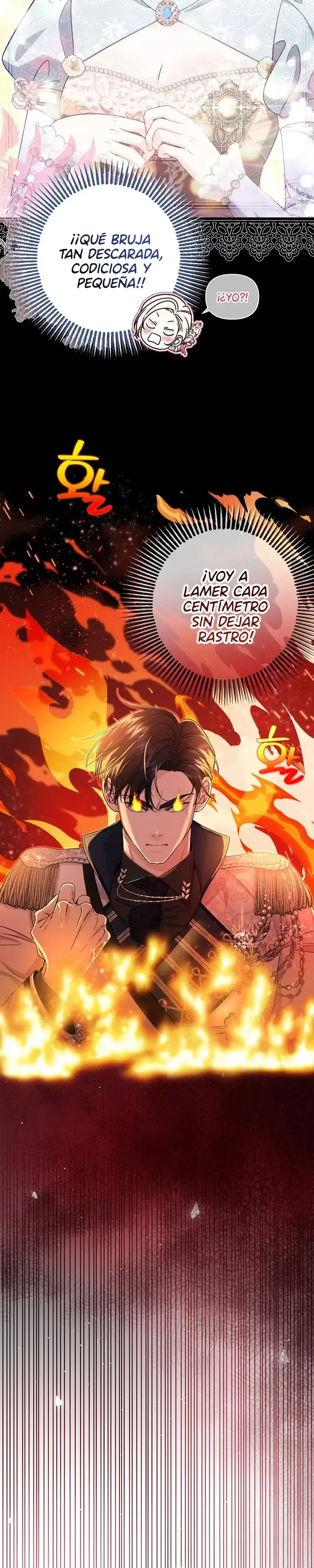 Capitulo 17 page 14