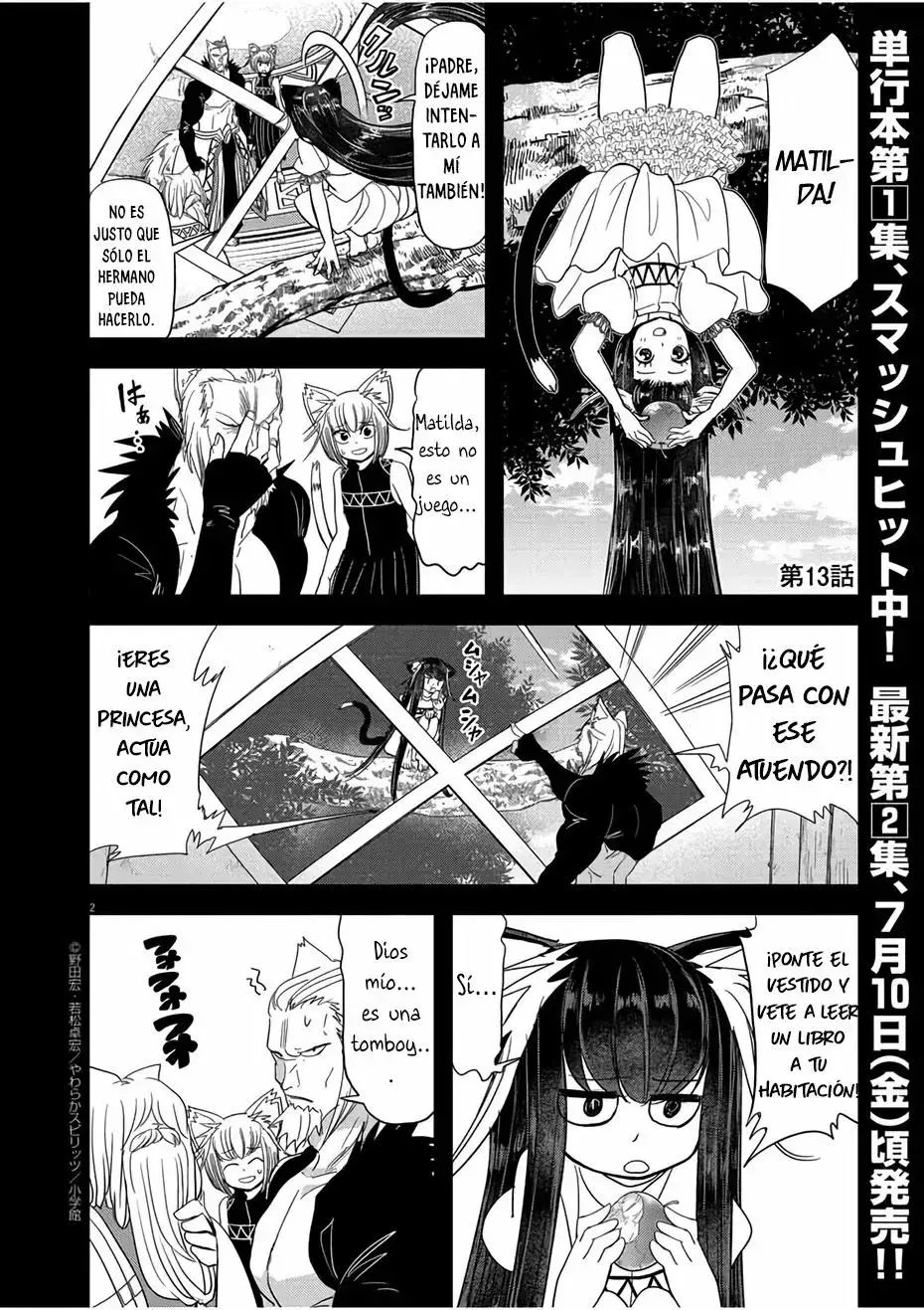 Capitulo 13 page 3