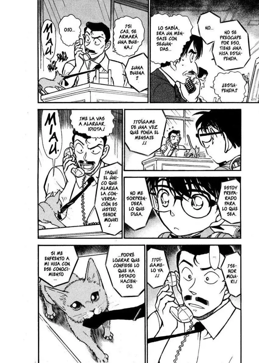 Capitulo 529 page 13