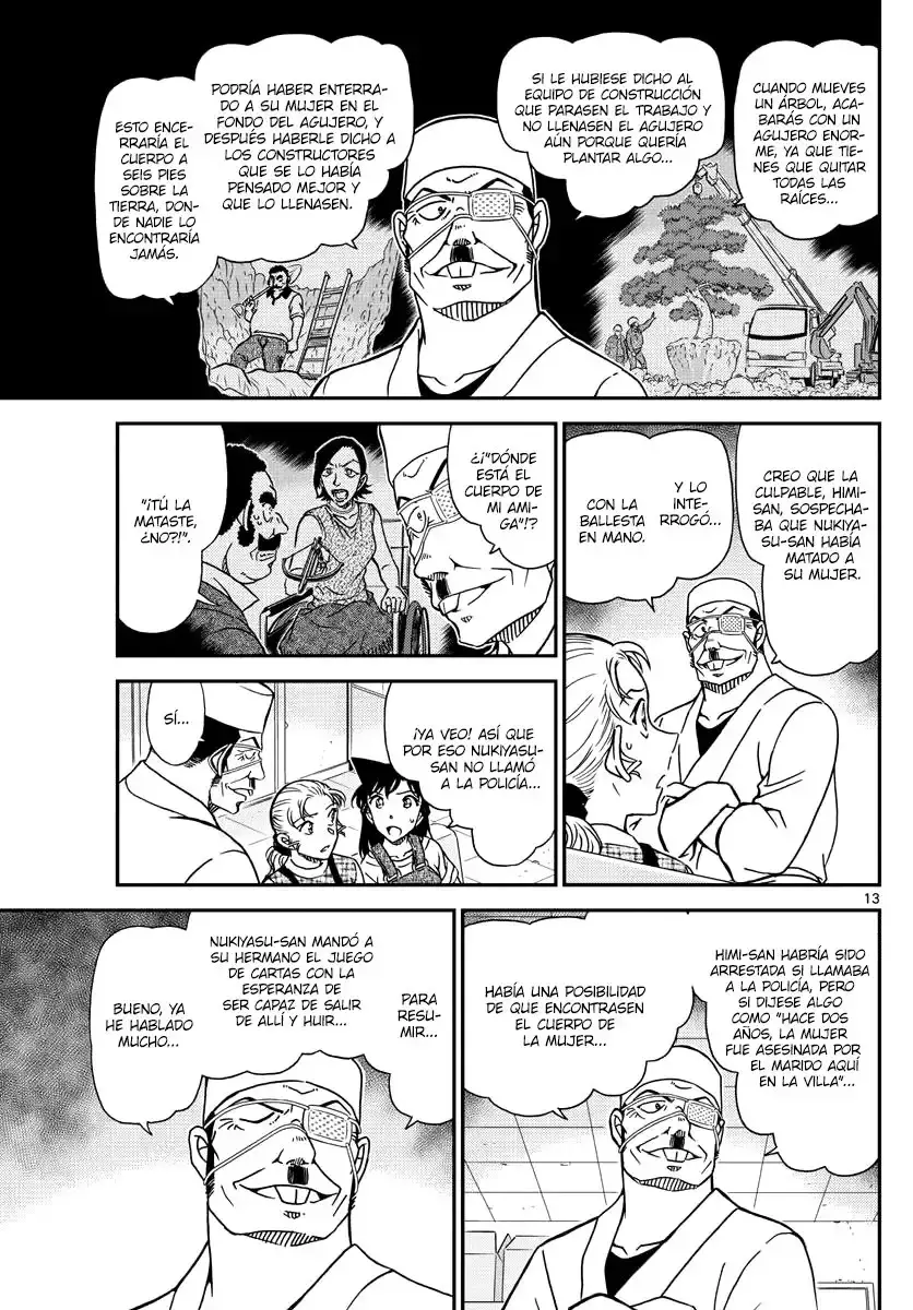 Capitulo 1057 page 13