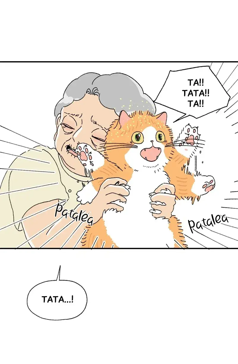 Capitulo 3 page 22