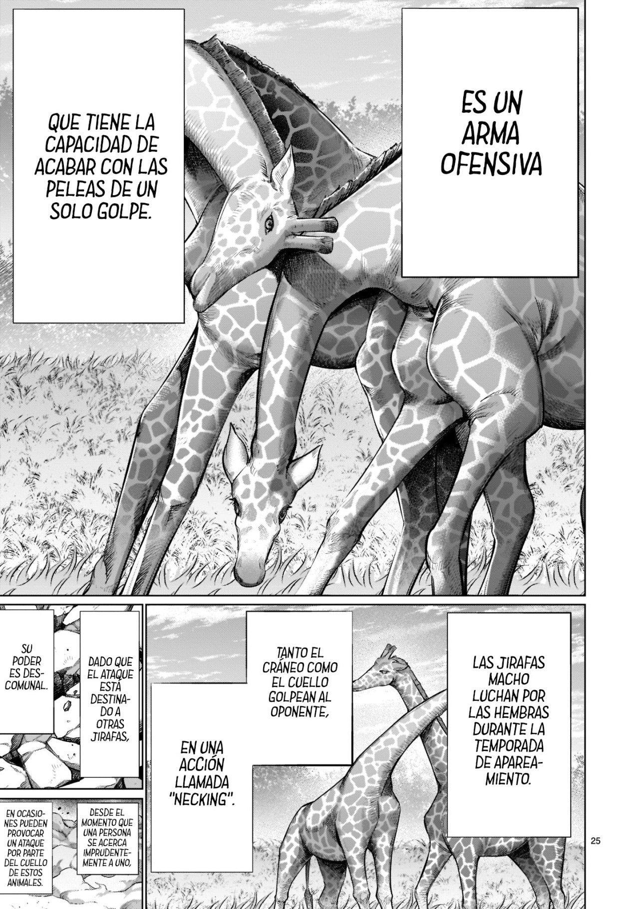 Capitulo 93 page 23