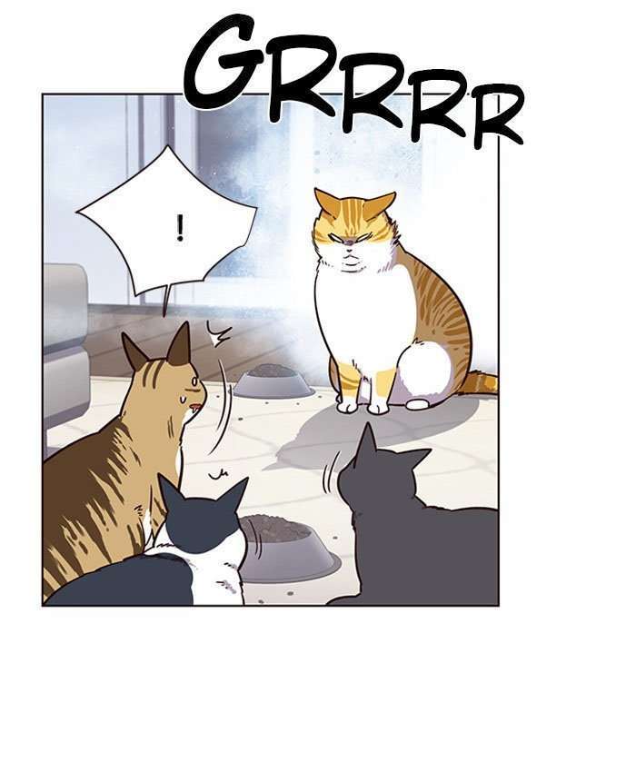Capitulo 9 page 33