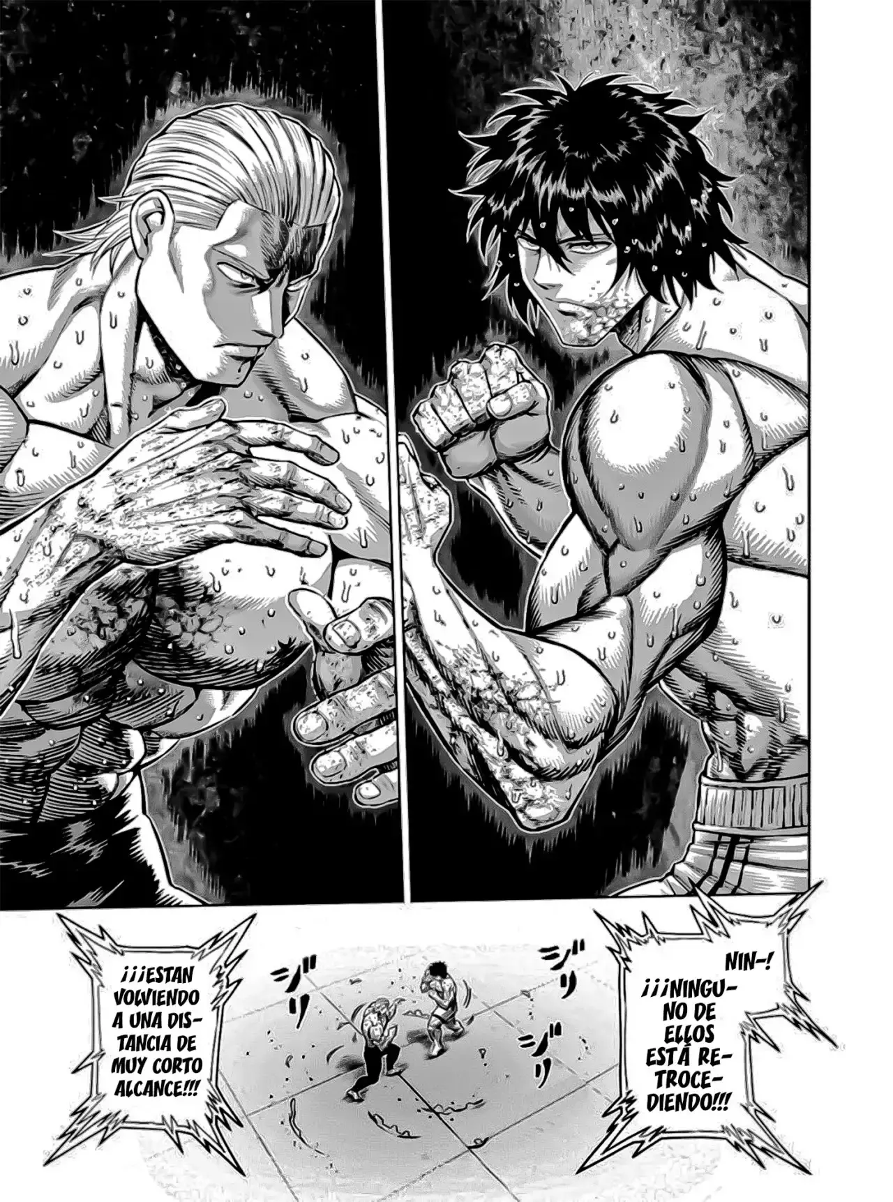 Capitulo 135 page 10