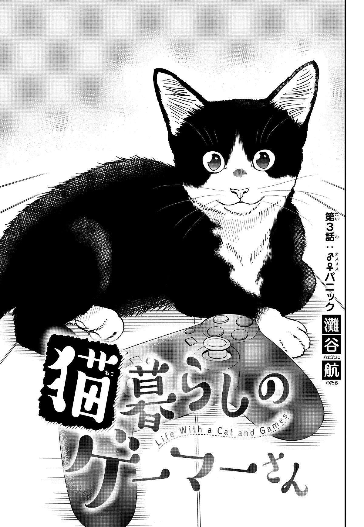 Capitulo 3 page 2