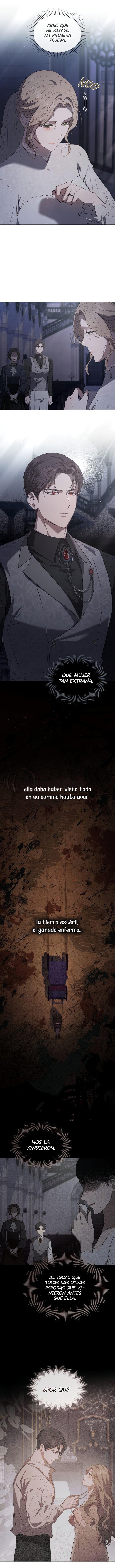 Capitulo 3 page 8