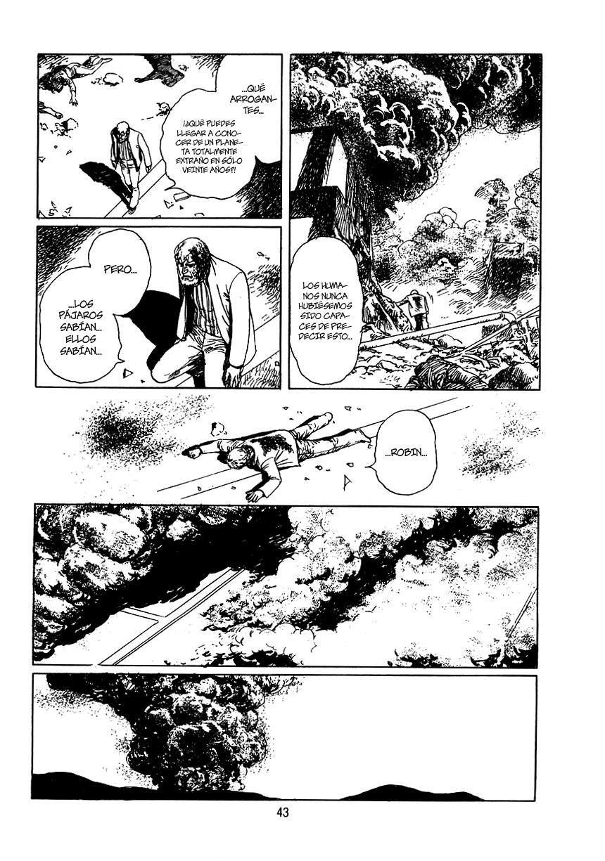 Capitulo 16 page 41
