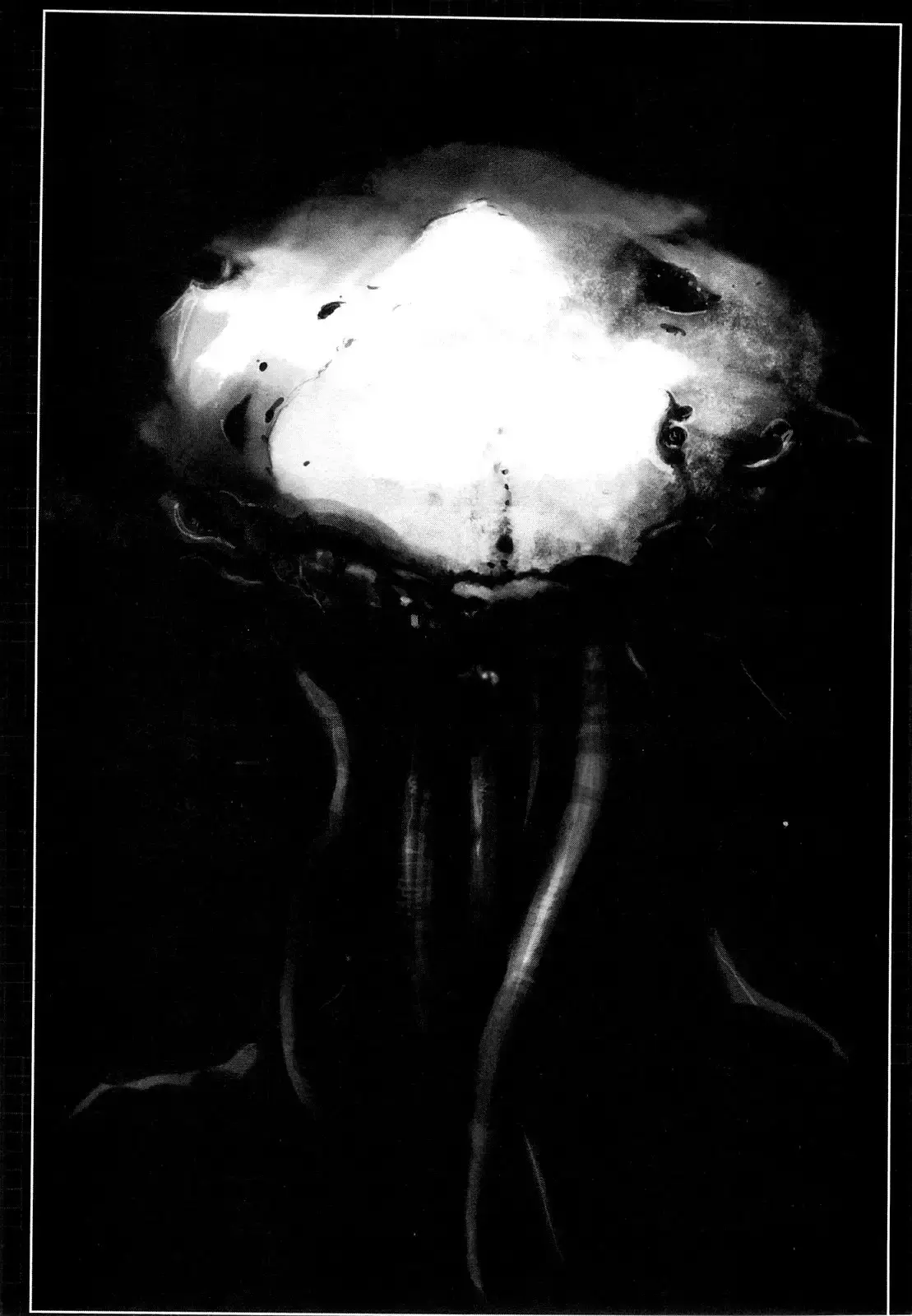 Capitulo 31 page 41
