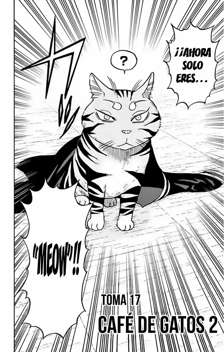 Capitulo 17 page 3