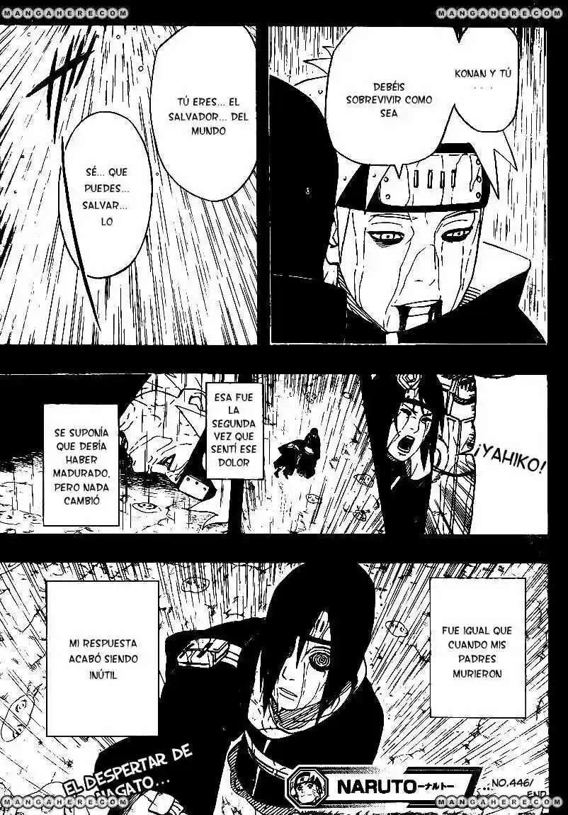 Capitulo 446 page 16