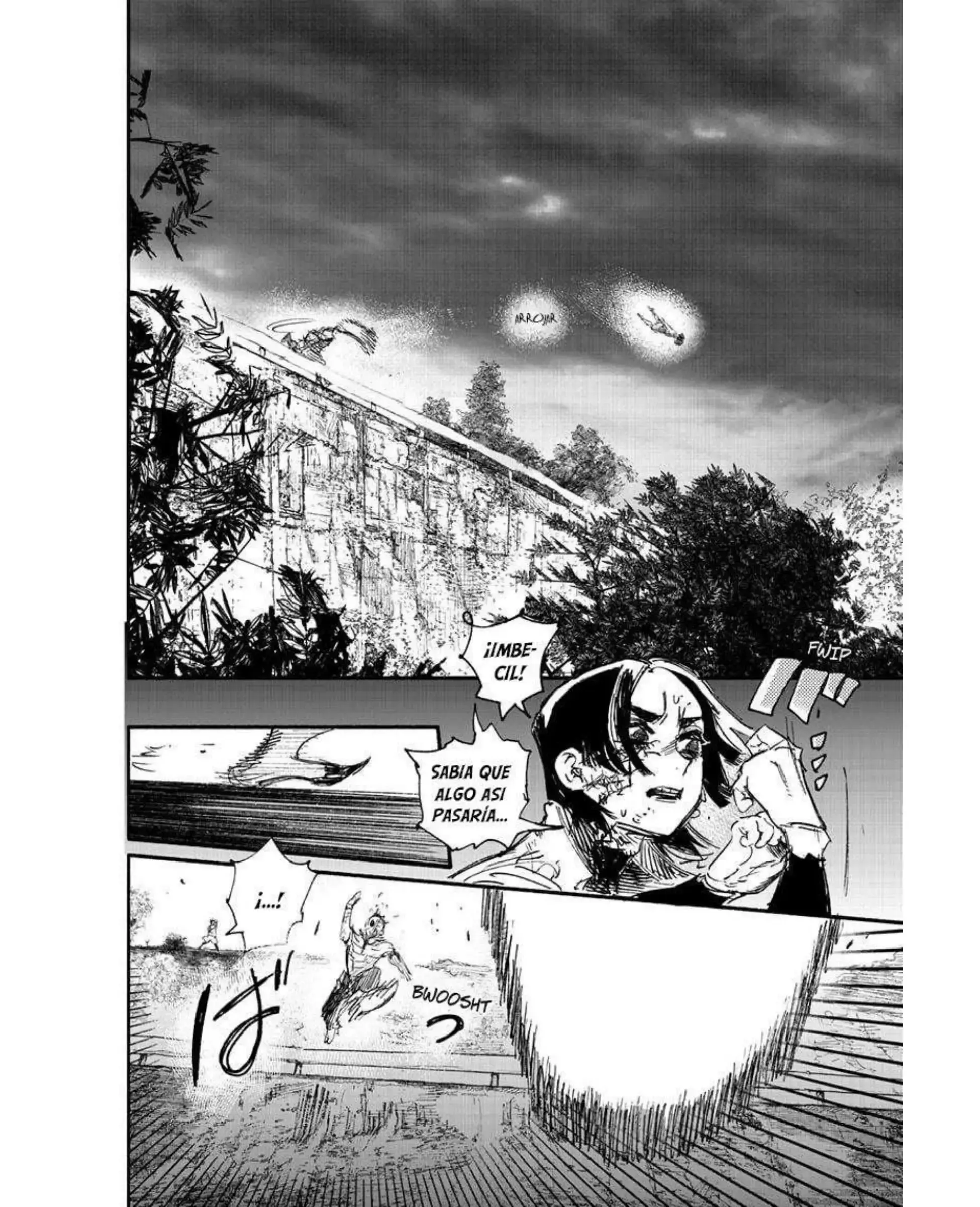 Capitulo 13 page 13