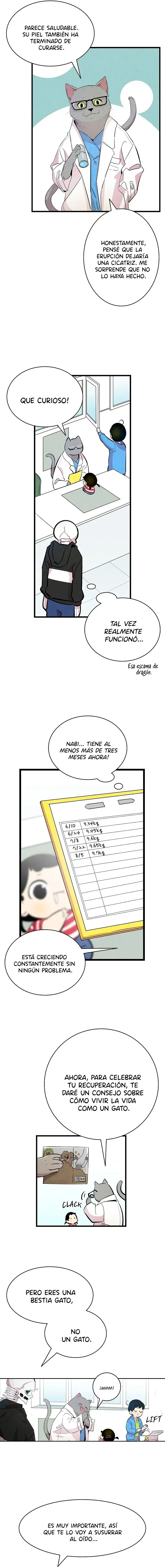 Capitulo 84 page 11