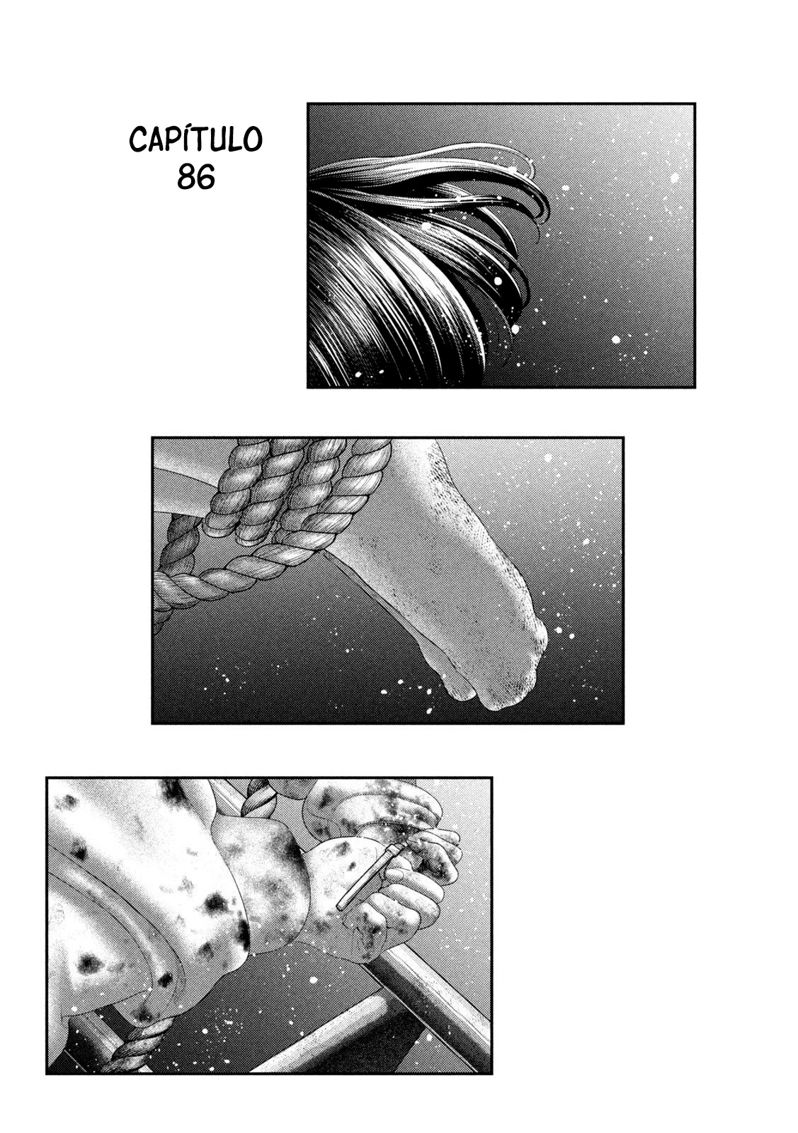 Capitulo 86 page 3