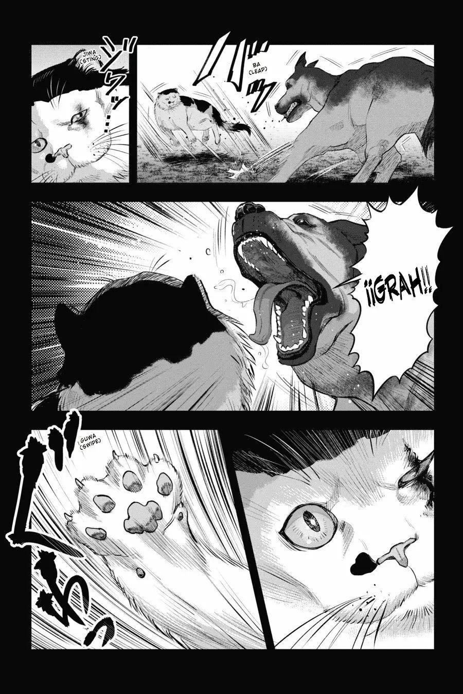 Capitulo 7 page 13