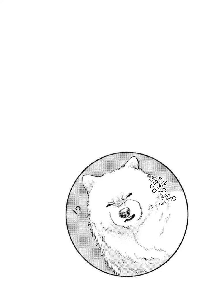 Capitulo 5 page 19