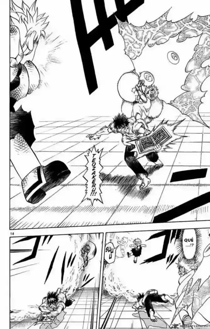 Capitulo 259 page 14