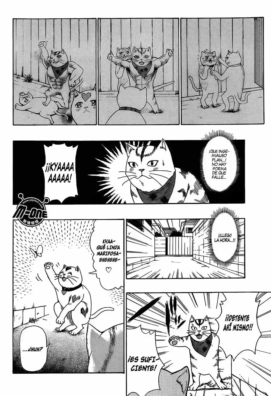 Capitulo 49 page 13