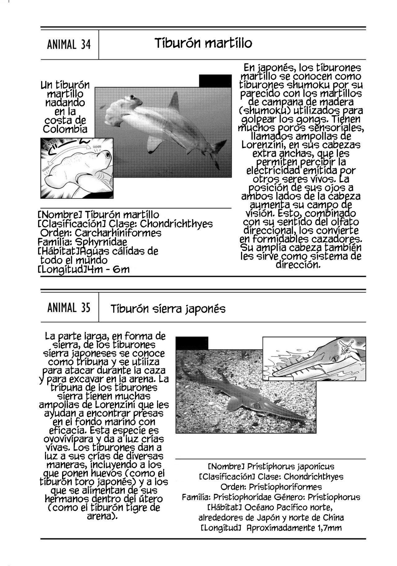 Capitulo 12 page 18
