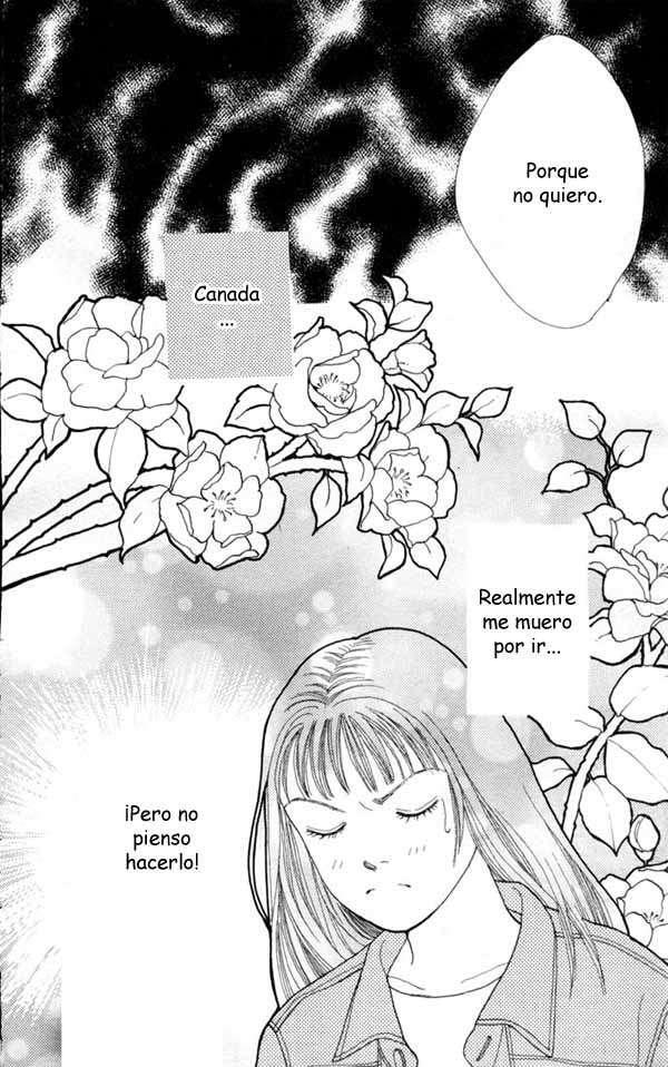 Capitulo 77 page 11