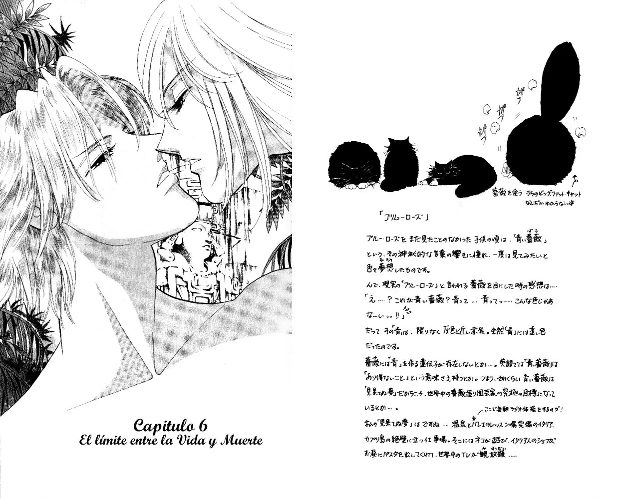Capitulo 6 page 6