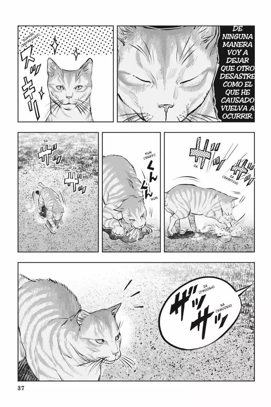 Capitulo 12 page 40