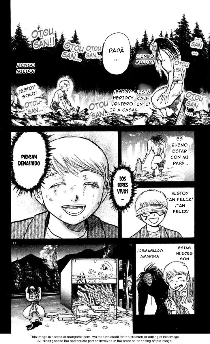 Capitulo 177 page 14