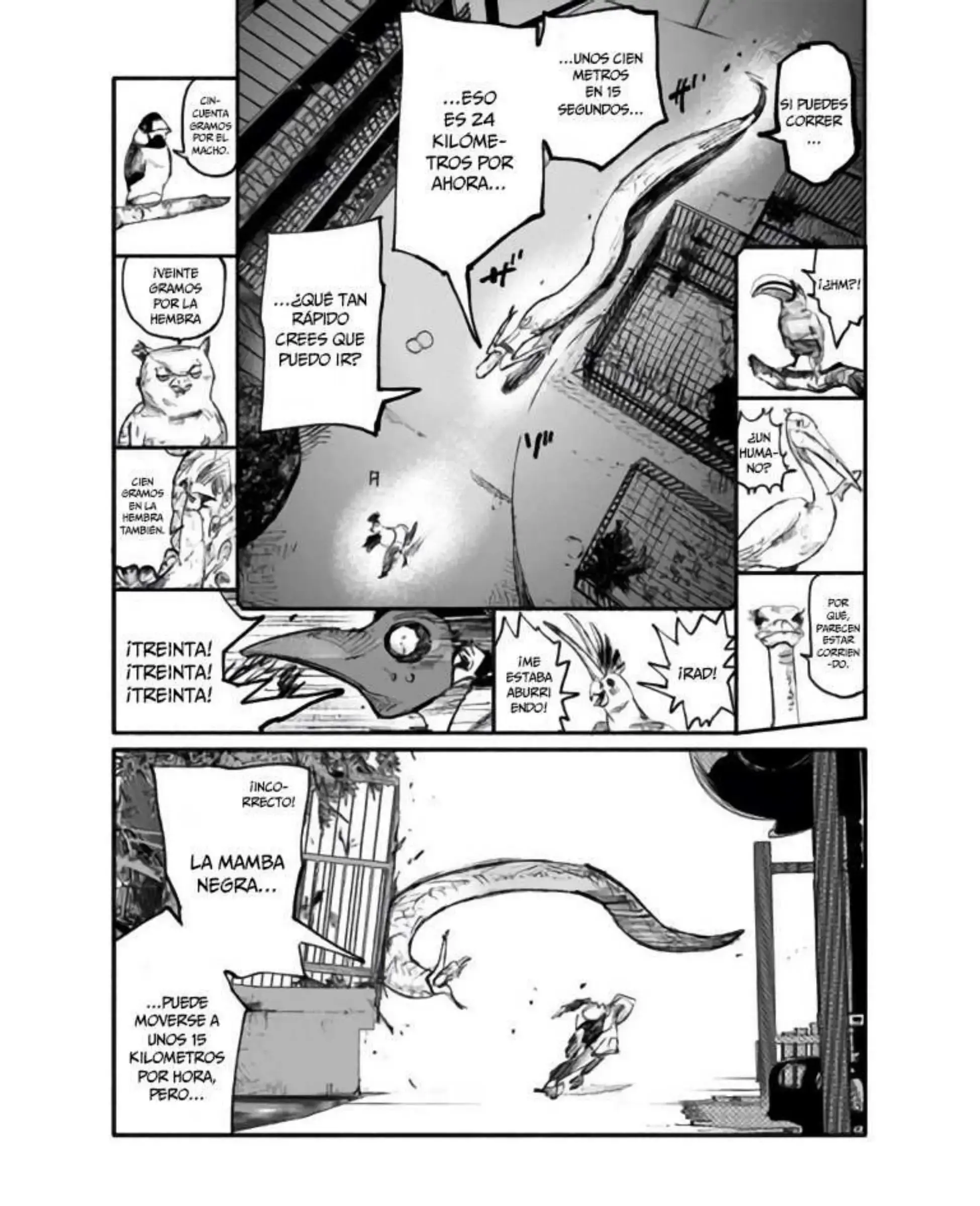 Capitulo 5 page 12