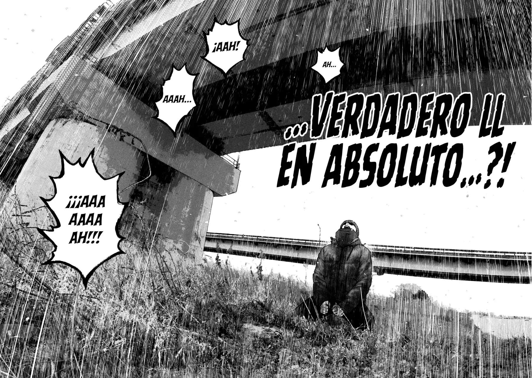 Capitulo 78 page 17